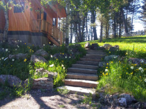 Fall Bulb Planting - Bozeman, Montana