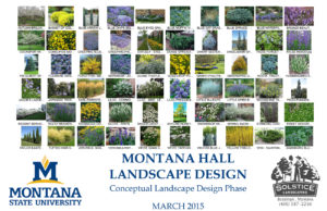 Garden Design - Montana Hall - Bozeman