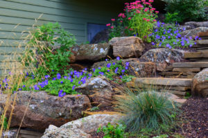 Perennial Garden Planting - Bozeman, MontanaMon