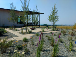 Native Garden Design - Bozeman, Montana
