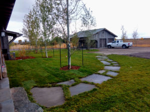 Windsor Gray Flagstone Step Stones - Bozeman, Montana