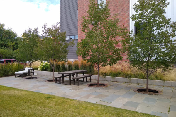 Bluestone Patio and landscaping