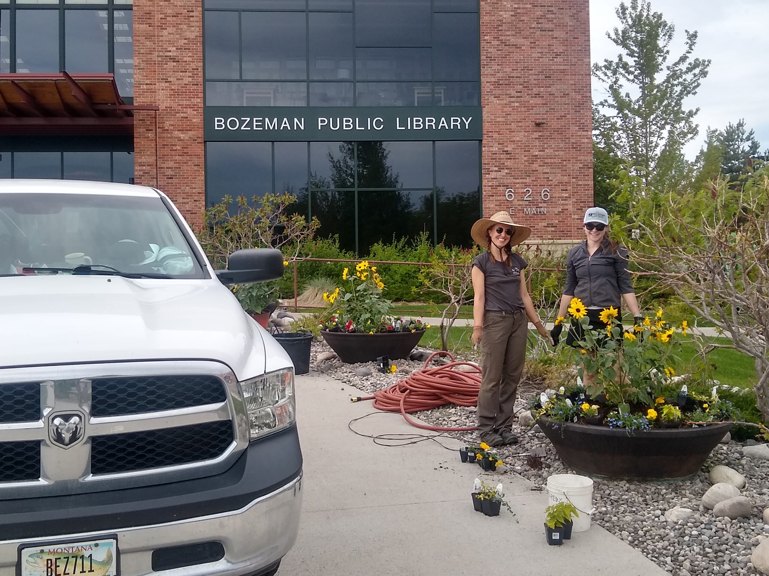 Bozeman Library Annuals and Container Gardens