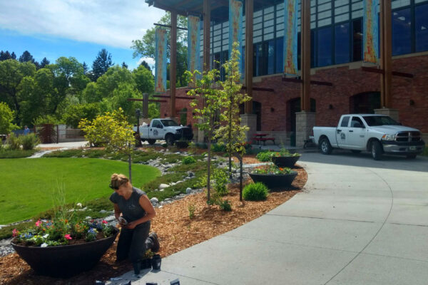 Bozeman Montana Library Landscaping Jobs