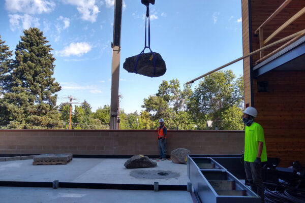 Bozeman Rooftop Landscaping Specialists