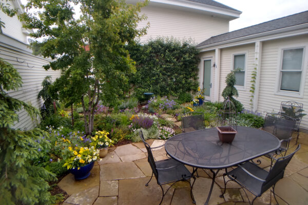 Courtyard landscaping with Montana Flagstone Patio and Drought Tolerant Gardens