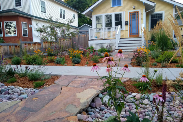 Drought Tolerant Landscaping with Flagstone Path and Pollinator Gardens