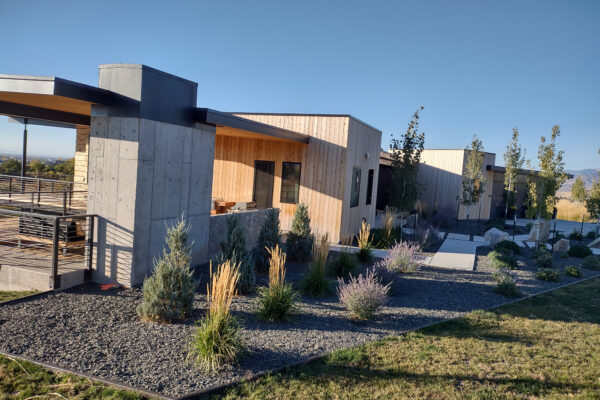 Modern Landscaping with Drought Tolerant Plants