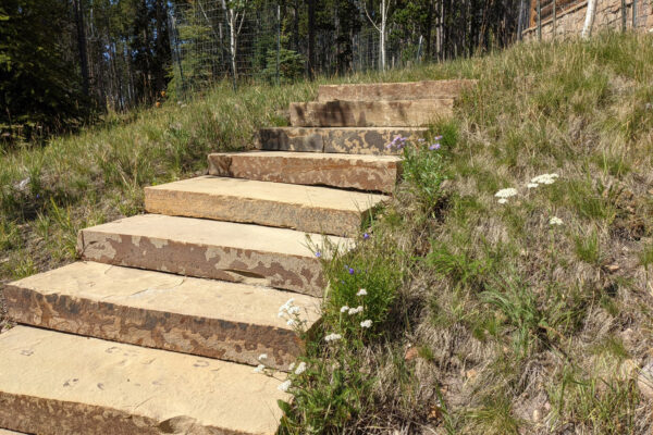 Native and Drought Tolerant Landscaping in Yellowstone Club Montana