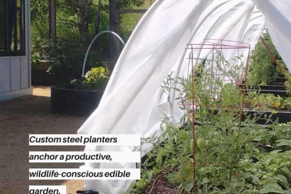 2025 Best Montana Landscape Designer Softcaping Award Winner Vegetable Garden Design