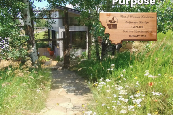 2025 Best Montana Landscape Designer Softcaping Award Winner Wildflower Meadow Design