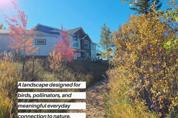 2025 Best Montana Landscape Designer Softcaping Award Winner Bozeman Native Landscaping Design