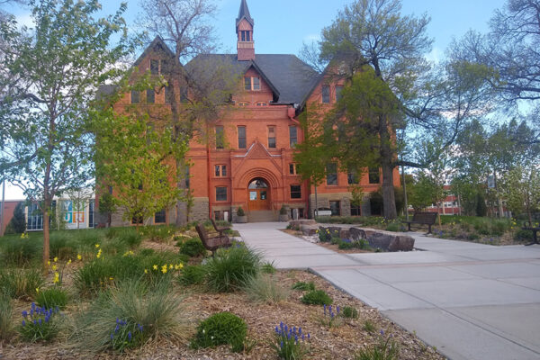 MSU Montana Hall – Montana landscape architect, Bozeman landscape designers