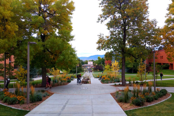 MSU Montana Hall – Montana landscape architect, Bozeman landscape designers