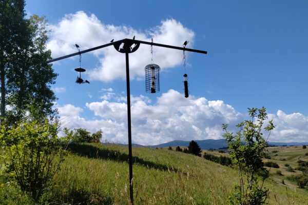 Cassell – Bozeman landscape designers, Bozeman landscaping, Bozeman landscape architects