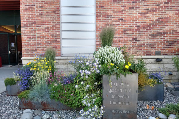 Library – Bozeman landscape designers, Bozeman landscaping companies, Bozeman landscape architects