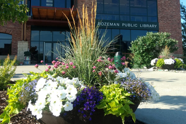 Library – Bozeman landscape designers, Bozeman landscaping companies, Bozeman landscape architects