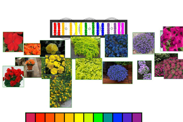 Library – Bozeman landscape designers, Bozeman landscaping companies, Bozeman landscape architects