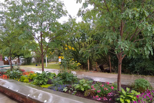 Library – Bozeman landscape designers, Bozeman landscaping companies, Bozeman landscape architects