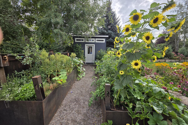 Hill - landscape design Bozeman, Bozeman landscaping, hardscape design Bozeman, residential landscape design Bozeman