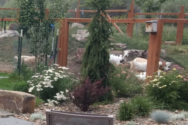 Sample Putnam - Bozeman landscape designers, Bozeman landscape architects, outdoor living design Bozeman, Bozeman steel planters