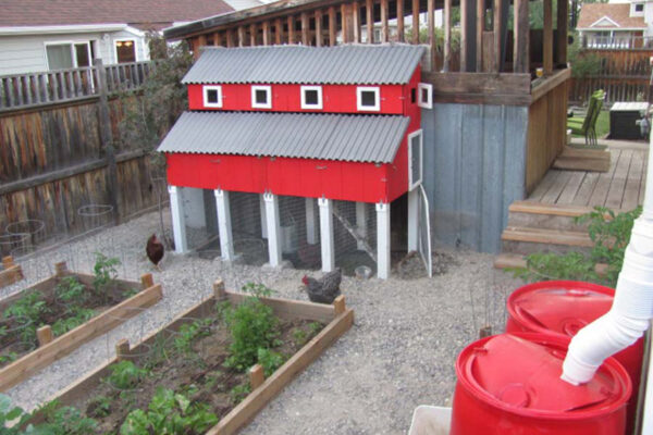 Schumann 307 – Bozeman landscape designer, Bozeman edible landscape design, Bozeman landscaping companies