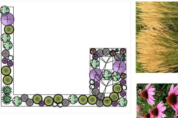 Little Star – Bozeman landscape architects, luxury landscape design Bozeman, Bozeman landscape designer