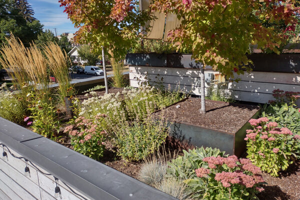 Little Star – Bozeman landscape architects, luxury landscape design Bozeman, Bozeman landscape designer