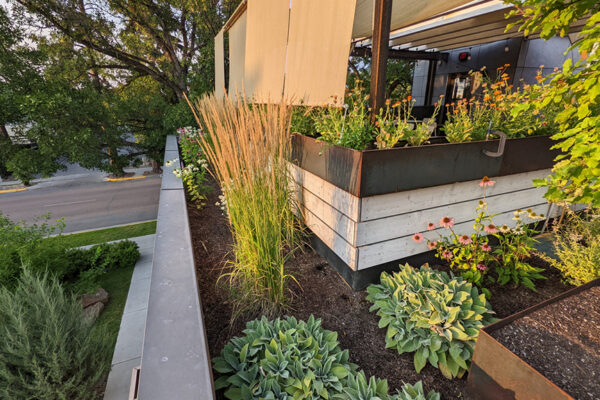 Little Star – Bozeman landscape architects, luxury landscape design Bozeman, Bozeman landscape designer