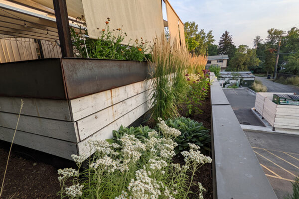 Little Star – Bozeman landscape architects, luxury landscape design Bozeman, Bozeman landscape designer