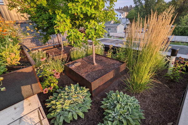 Little Star – Bozeman landscape architects, luxury landscape design Bozeman, Bozeman landscape designer