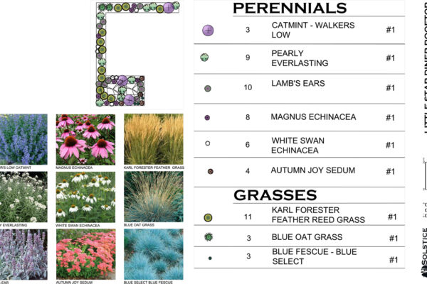 Little Star – Bozeman landscape architects, luxury landscape design Bozeman, Bozeman landscape designer