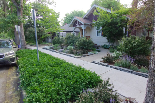 Darrow – landscape designer Bozeman, Bozeman garden design, landscape architects Bozeman