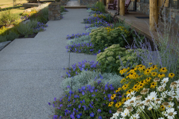 Bozeman Landscape Artists, Bozeman Best Lanscapers, Big Sky Landscaping, Drought Tolerant Plants, Bozeman Landscapers, Big Sky Best Landscapers, Bozeman Landscaping