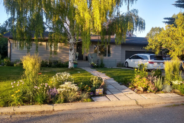 Bozeman Native Plants, Bozeman Native Landscaping, Bozeman Landscape Artists, Bozeman Best Lanscapers, Big Sky Landscaping, Bozeman Landscapers, Big Sky Best Landscapers, Bozeman Landscaping