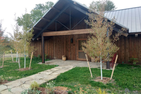 Trout Friendly Lawn, Alternative Lawn, No Mow Lawn, Drought Tolerant Lawn, Flagstone Path, Native Landscaping, Paradise Valley Landscaping, Livingston Montana Landscaping, Bozeman Landscape Artists, Bozeman Best Lanscapers, Big Sky Landscaping, Bozeman Landscapers, Big Sky Best Landscapers, Bozeman Landscaping