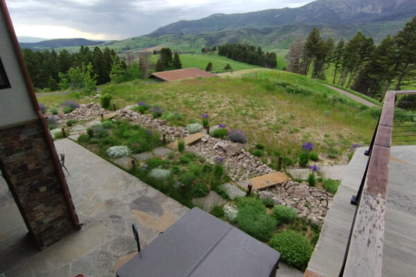 Xeriscaping Bozeman Mt Native Landscaping Bozeman Montana