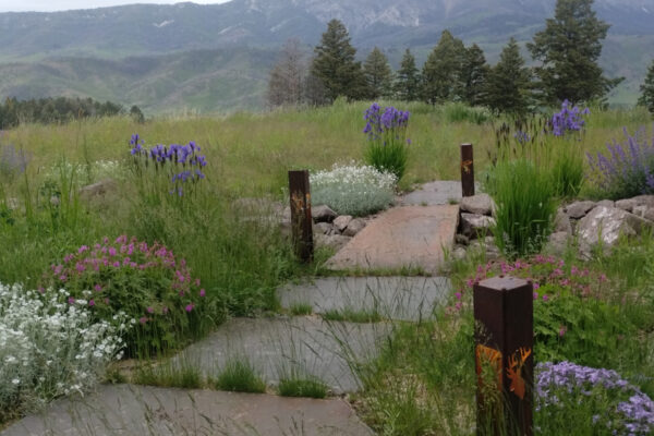 Montana Ranch Planning and Landscaping