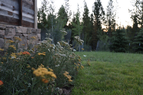 Bozeman Montana Drought Tolerant Landscaping Big Sky Montana Drought Tolerant Landscaping Big Sky Montana Native Landscaping