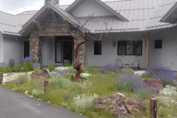 Bozeman's Best Landscapers Montana Native Landscaping - Big Sky Country