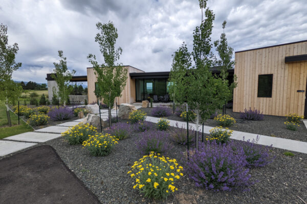 Xeriscaping Bozeman, MT Modern Drought Tolerant Landscaping Design Bozeman Montana