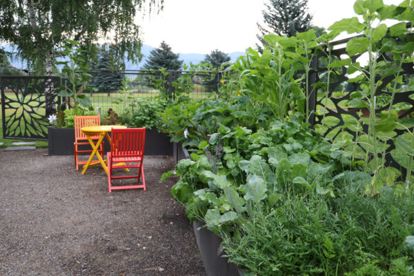 Montana Steel Planters Bozeman Vegetable Garden Experts