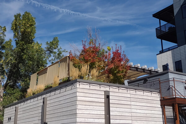 Rooftop Gardens Bozeman Montana Bozeman Montana Rooftop Landscaping