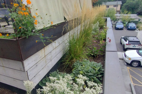 Rooftop Landscaping Bozeman Green Roof Installers Bozeman Montana