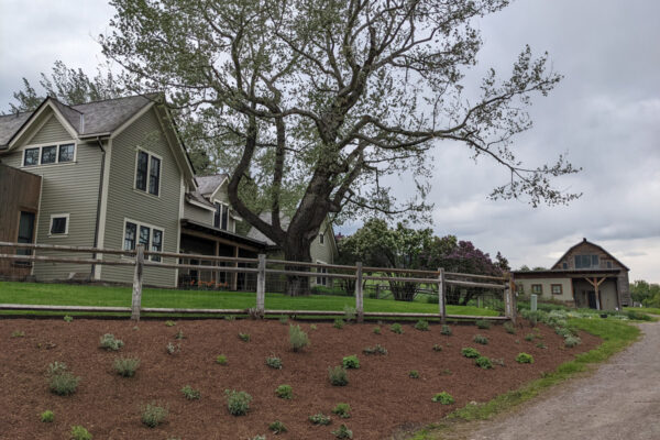 Montana Flagstone, Native Landscaping, Big Sky Flagstone, Montana Fire Pits, Big Sky Patios, Bozeman Drought Tolerant Gardens, Yellowstone Club Landscapers, Big Sky Native Landsaping, Big Sky Luxury Landscaping, Big Sky Flagstone, Flagstone Patios, Yellowstone Club Best Landscapers