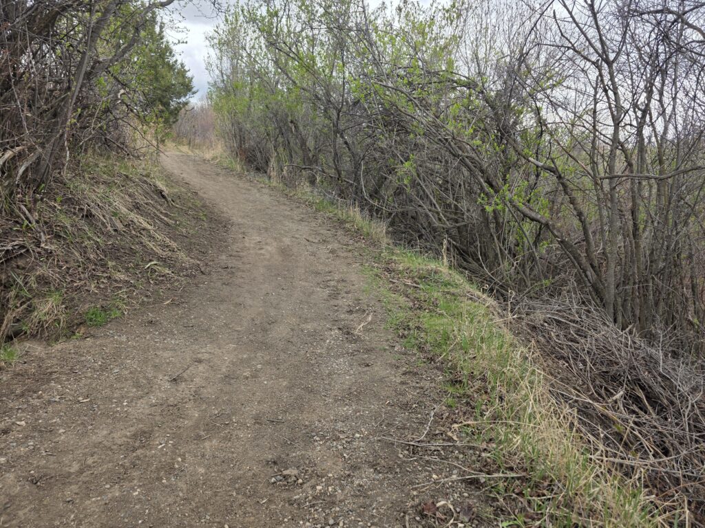 Earth Day Trail Restoration