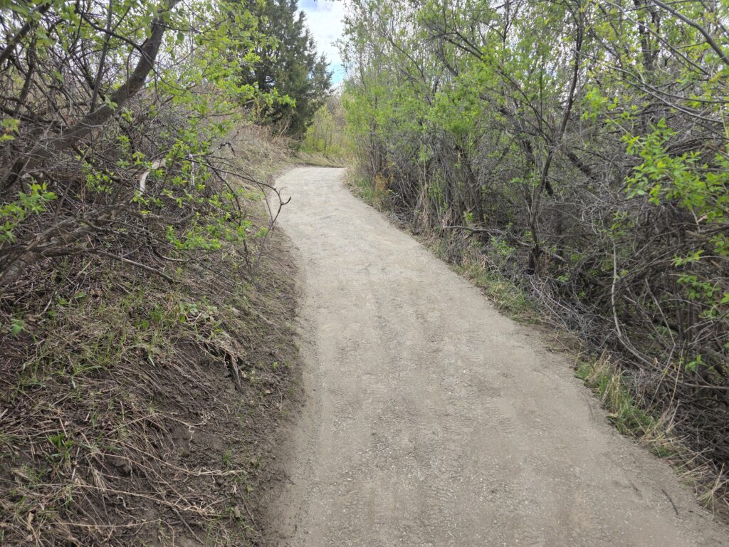 Earth Day Trail Restoration