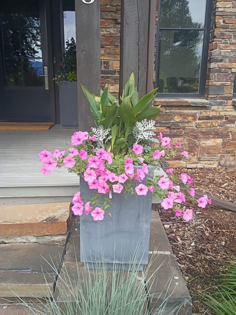 Garden Maintenance Bozeman Montana
