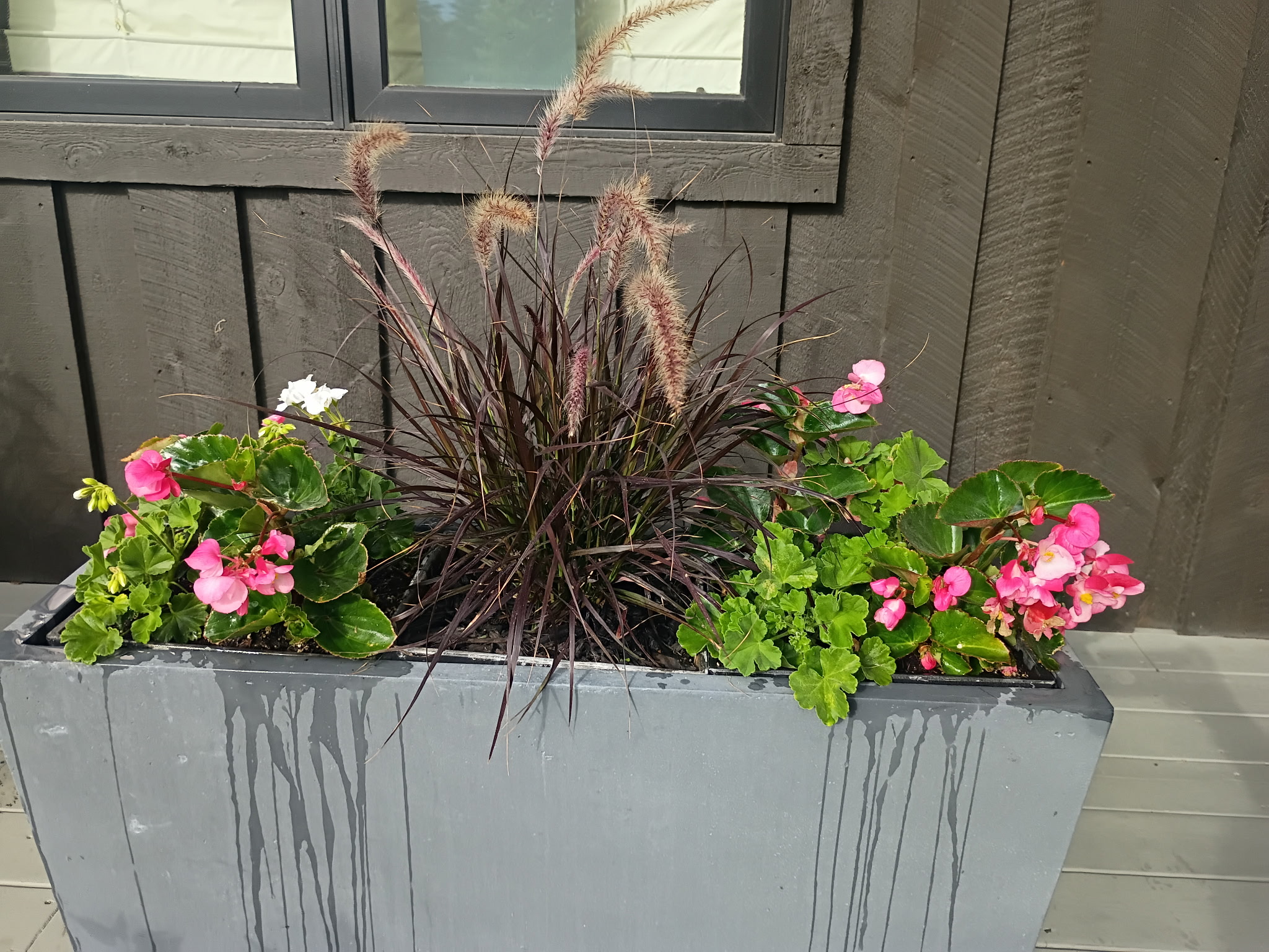 Garden Maintenance Bozeman Montana
